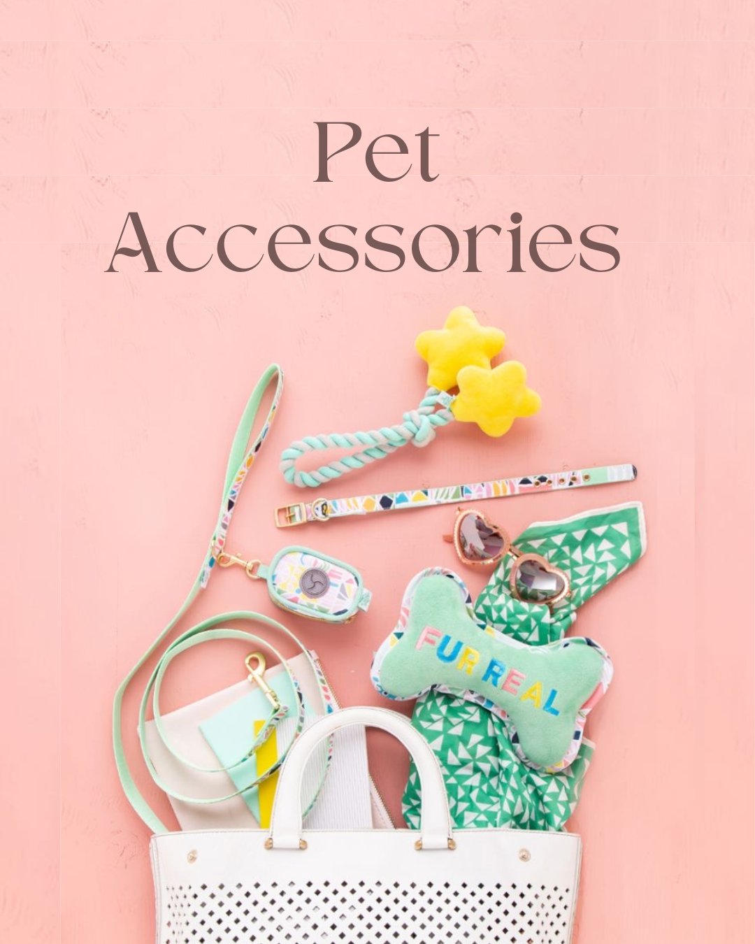 Pet Accessories