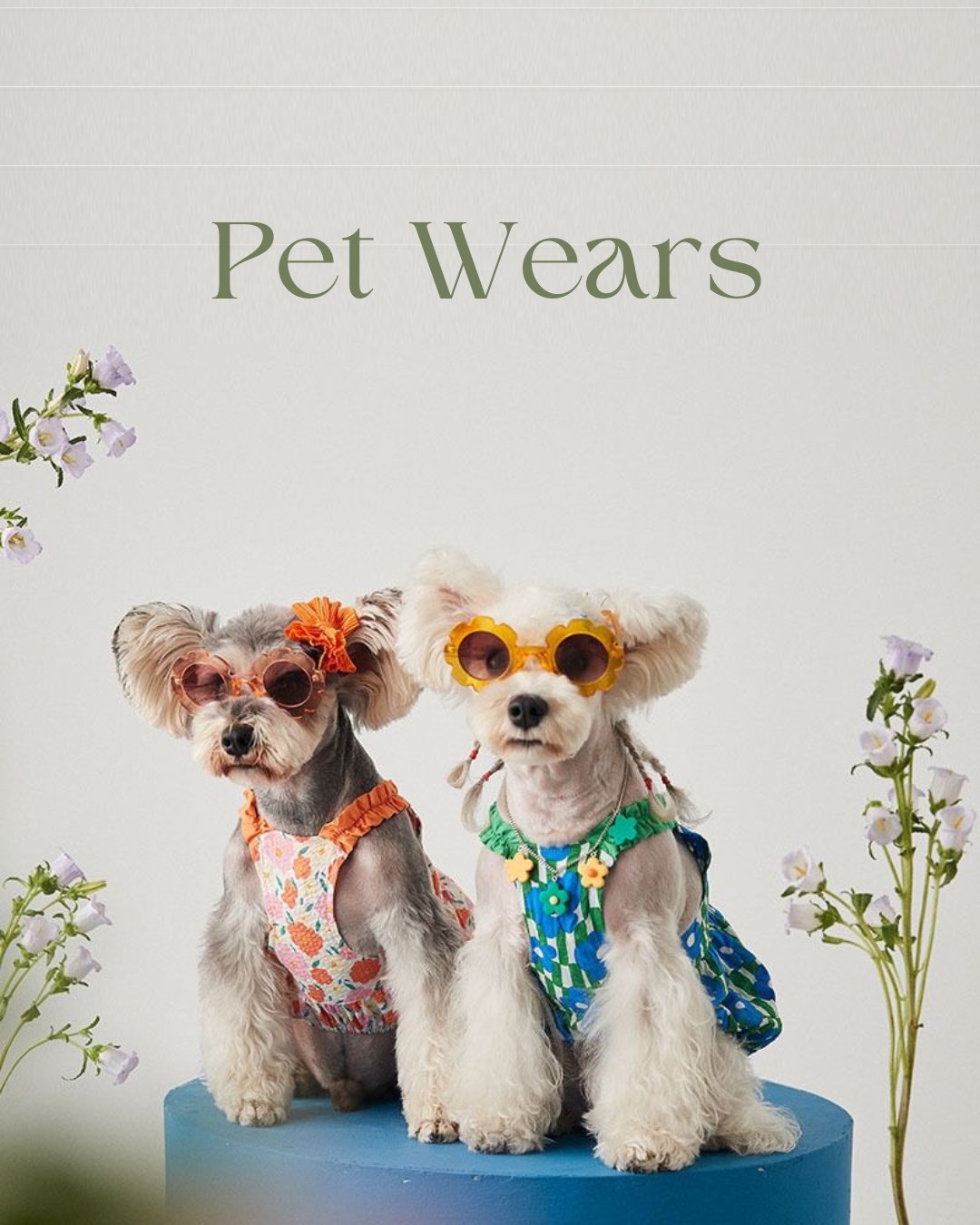 Pet Wears