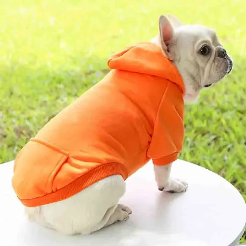 Pawfect Winter Hoodie Sweatshirt