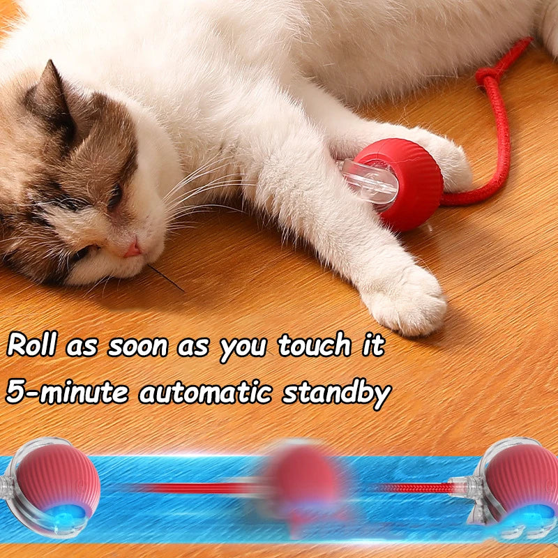 Pawfect Smart Rolling Ball