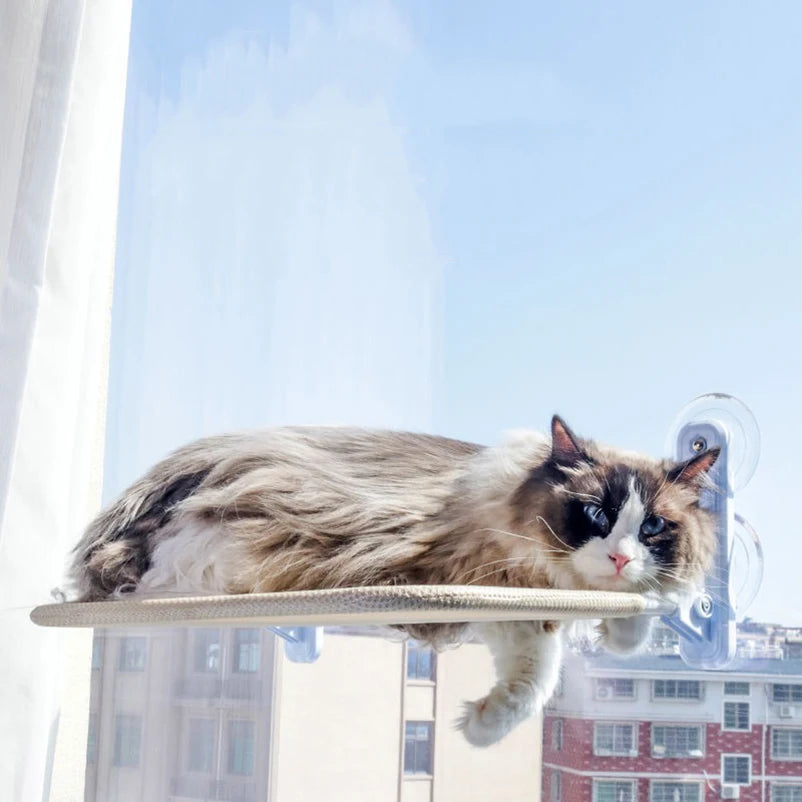 Pawfect Suction Cup Cat Hanging Nest