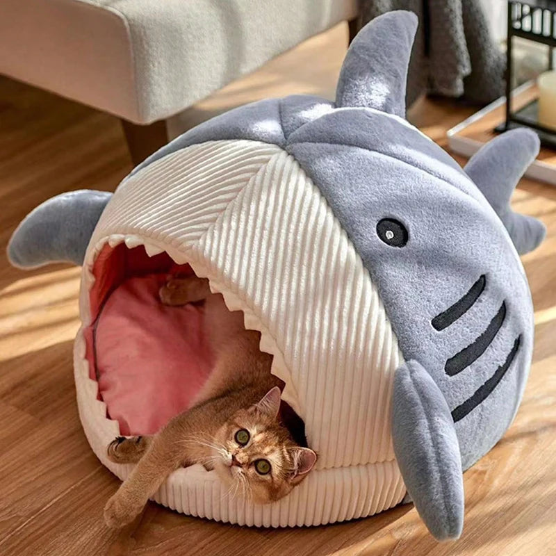 Pawfect Cartoon Shark Cat Bed