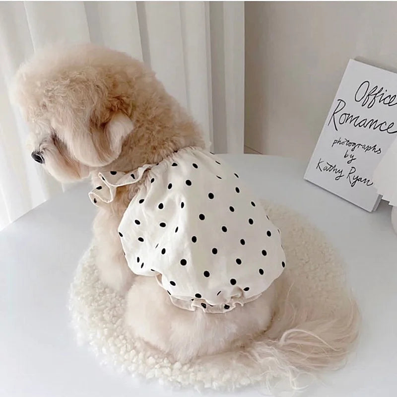 Pawfect Dotty Cute Skirt