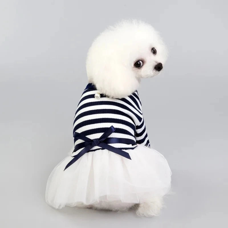 Pawfect Royal Tutu Skirt