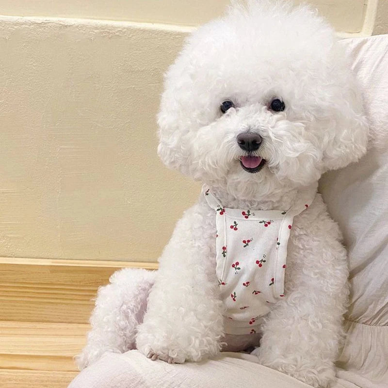 Pawfect Cherry Delight Tank Top