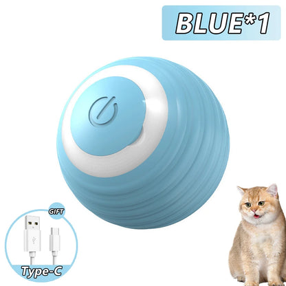 Pawfect Smart Rolling Ball